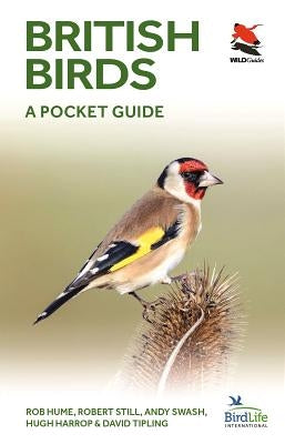 British Birds: A Pocket Guide by Hume, Rob