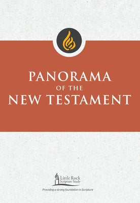 Panorama of the New Testament by Binz, Stephen J.