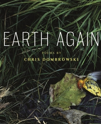 Earth Again by Dombrowski, Chris