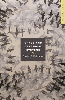 Chaos and Dynamical Systems by Feldman, David