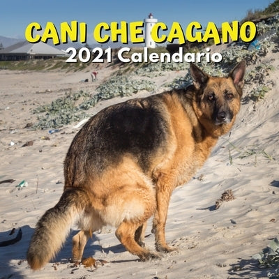 Cani Che Cagano Calendario 2021: Regali Divertenti by Lambardo, Romerez