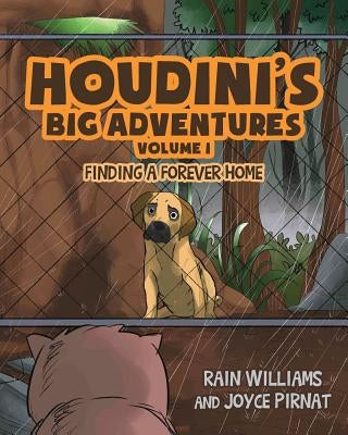 Houdini's Big Adventures: Finding a Forever Home by Williams, Rain