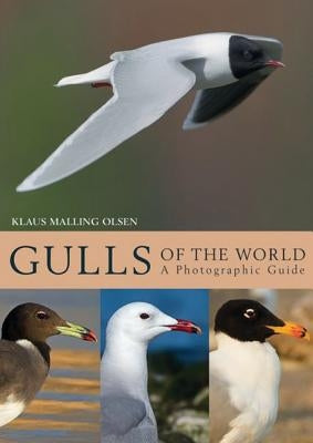 Gulls of the World: A Photographic Guide by Olsen, Klaus Malling