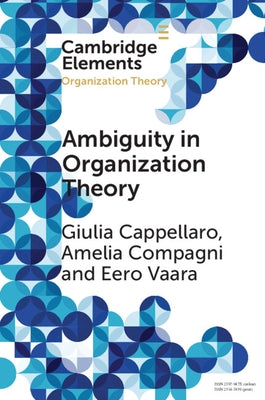 Ambiguity in Organization Theory: From Intrinsic to Strategic Perspectives by Cappellaro, Giulia