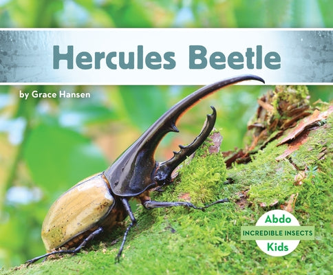 Hercules Beetle by Hansen, Grace