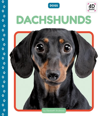 Dachshunds by Andrews, Elizabeth