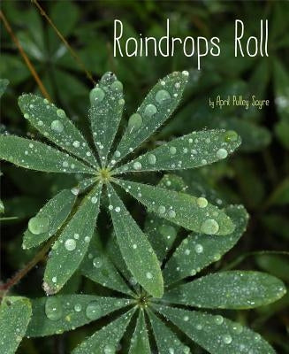Raindrops Roll by Sayre, April Pulley