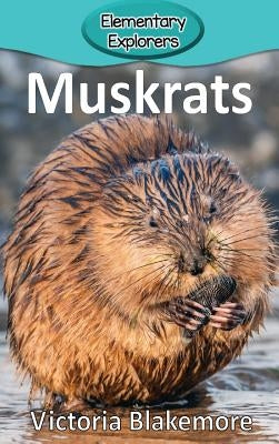 Muskrats by Blakemore, Victoria