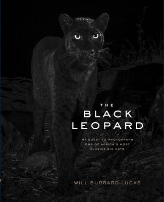 The Black Leopard: My Quest to Photograph One of Africa's Most Elusive Big Cats by Burrard-Lucas, Will