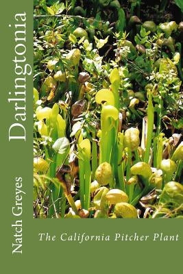 Darlingtonia by Greyes, Natch