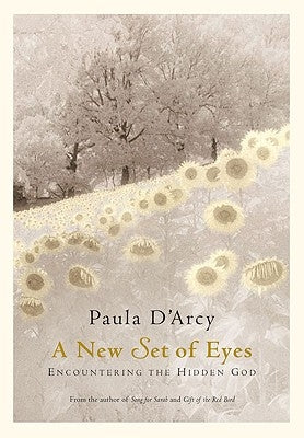 A New Set of Eyes: Encountering the Hidden God by D'Arcy, Paula