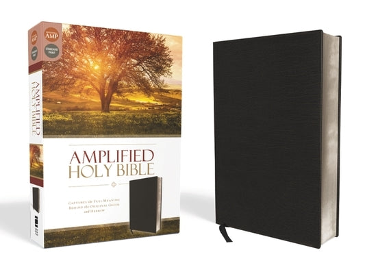 Amplified Bible-Am: Captures the Full Meaning Behind the Original Greek and Hebrew by Zondervan