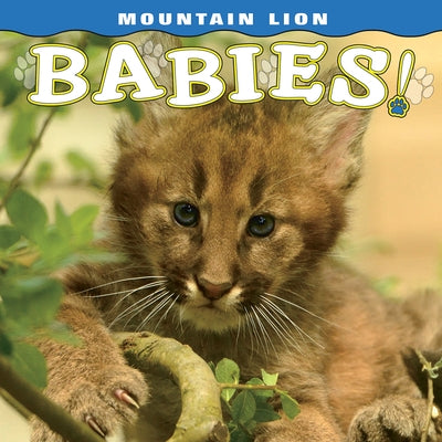 Mountain Lion Babies by Kalus, Anne-Marie