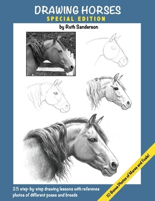 Drawing Horses: Special Edition by Sanderson, Ruth