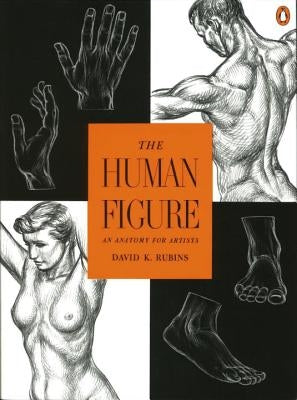 The Human Figure: An Anatomy for Artists by Rubins, David K.