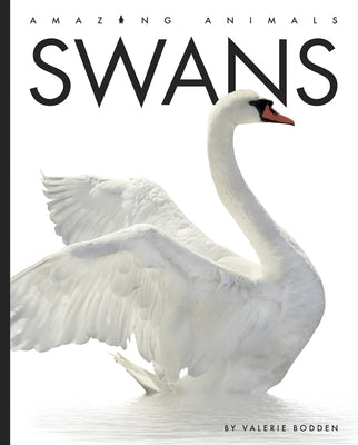 Swans by Bodden, Valerie