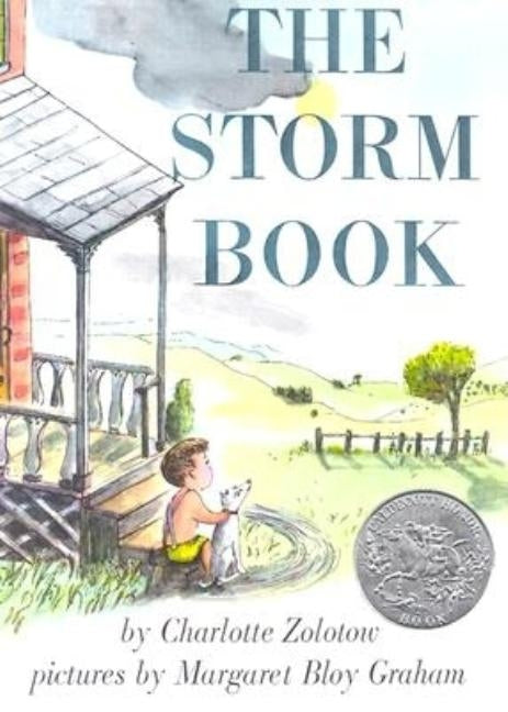The Storm Book: A Caldecott Honor Award Winner by Zolotow, Charlotte