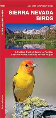 Sierra Nevada Birds: A Folding Pocket Guide to Familiar Species of the Montane Forest Region by Kavanagh, James