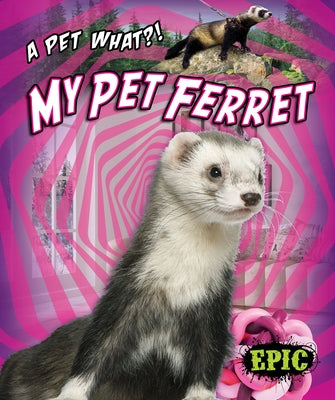 My Pet Ferret by Polinsky, Paige V.