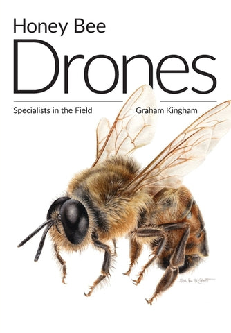 Honey Bee Drones: Specialists in the Field by Kingham, Graham