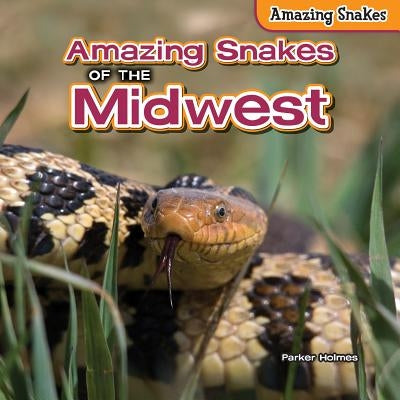 Amazing Snakes of the Midwest by Holmes, Parker