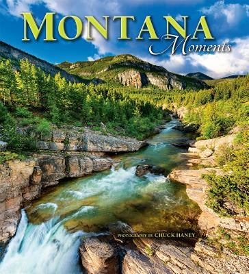 Montana Moments by Haney, Chuck