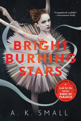 Bright Burning Stars by Small, A. K.