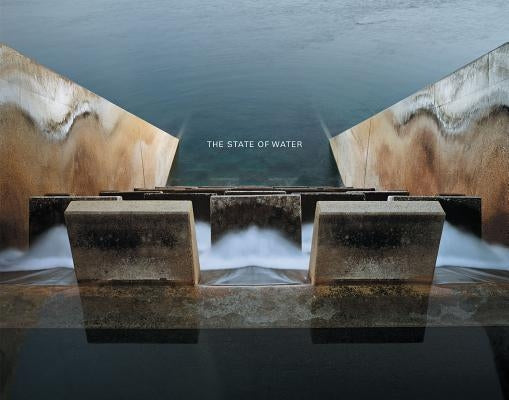 Brad Temkin: The State of Water by Temkin, Brad