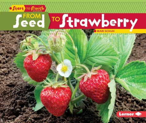 From Seed to Strawberry by Schuh, Mari C.