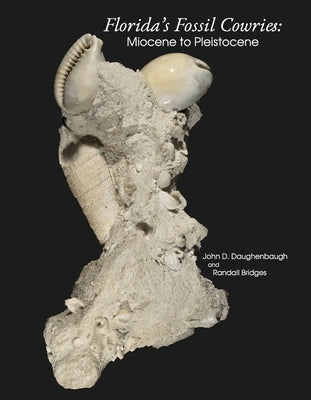 Florida's Fossil Cowries: Miocene to Pleistocene by Daughenbaugh, John D.