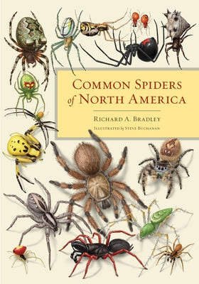 Common Spiders of North America by Bradley, Richard A.