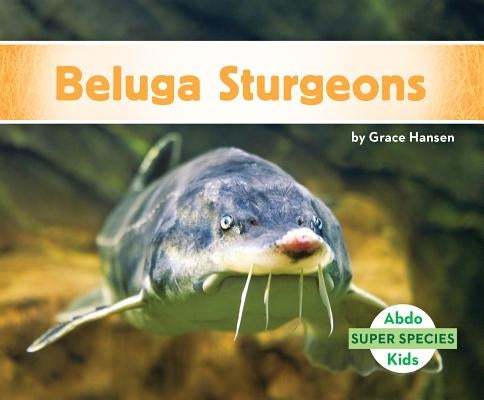 Beluga Sturgeons by Hansen, Grace