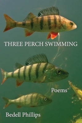 Three Perch Swimming by Phillips, Bedell