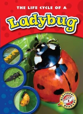 The Life Cycle of a Ladybug by Sexton, Colleen