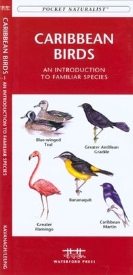 New York State Birds: A Folding Pocket Guide to Familiar Species by Kavanagh, James