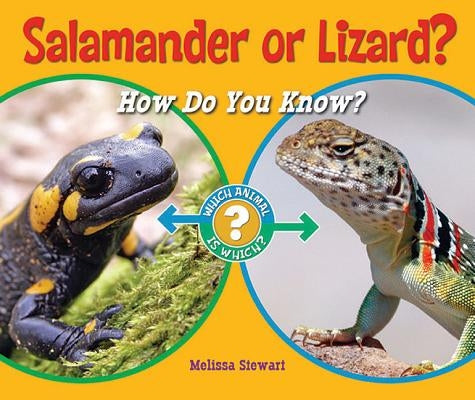 Salamander or Lizard?: How Do You Know? by Stewart, Melissa