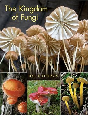 The Kingdom of Fungi by Petersen, Jens H.