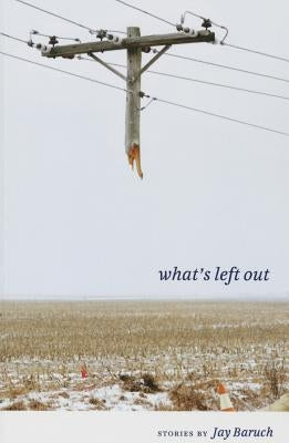 What's Left Out: Stories by Baruch, Jay