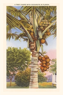 Vintage Journal Coconut Palm by Found Image Press