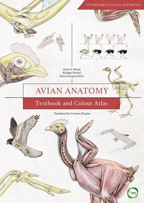 Avian Anatomy: Textbook and Colour Atlas by Koenig, Horst E.