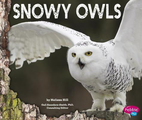 Snowy Owls by Saunders-Smith, Gail
