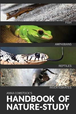 The Handbook Of Nature Study in Color - Fish, Reptiles, Amphibians, Invertebrates by Comstock, Anna