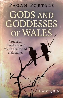 Pagan Portals - Gods and Goddesses of Wales: A Practical Introduction to Welsh Deities and Their Stories by Quin, Halo