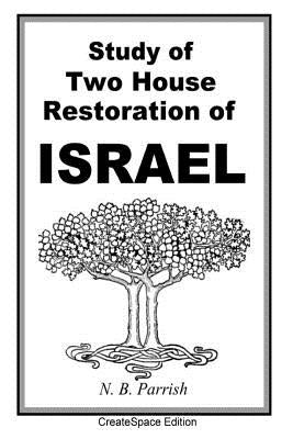 Study Of Two House Restoration Of Israel by White, Arthur Lewis
