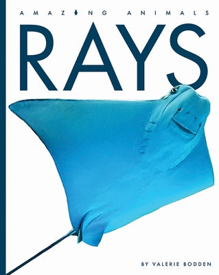 Rays by Bodden, Valerie