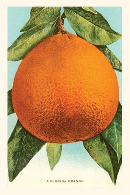 Vintage Journal Florida Orange by Found Image Press