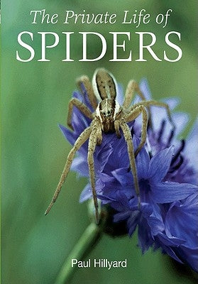 The Private Life of Spiders by Hillyard, Paul