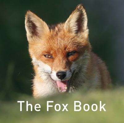 The Fox Book by Jane, Russ