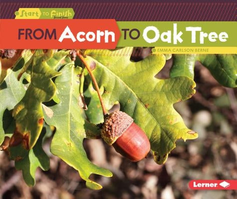 From Acorn to Oak Tree by Carlson-Berne, Emma
