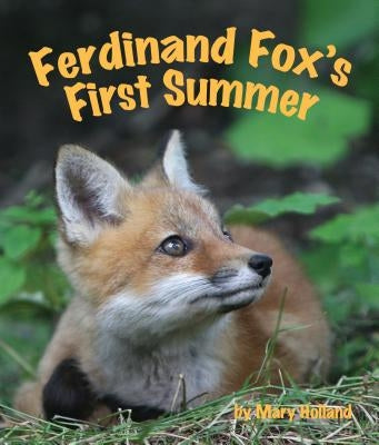 Ferdinand Fox's First Summer by Holland, Mary